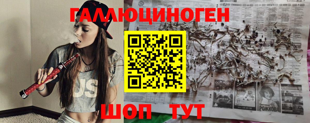 Галлюциногенные грибы мухоморы Волжский